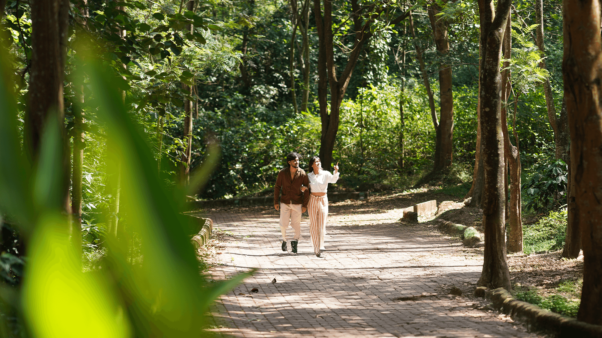 A Luxury Nature Retreat