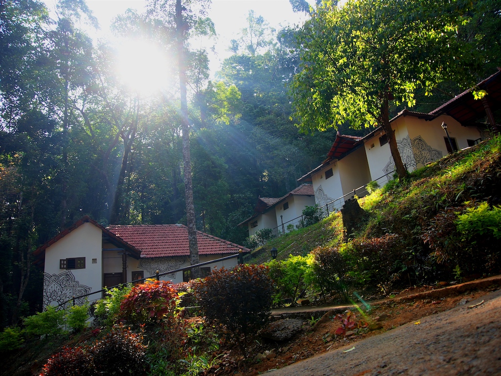 Home stay in forest
