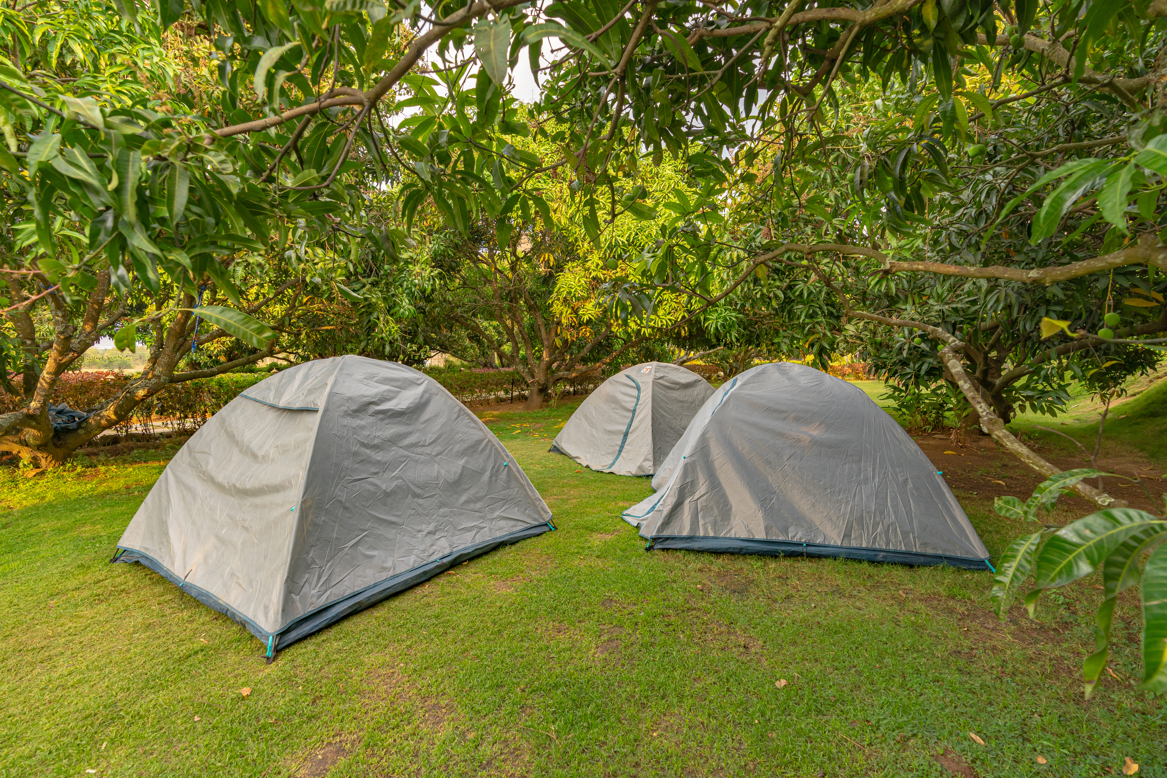 Tents in nature